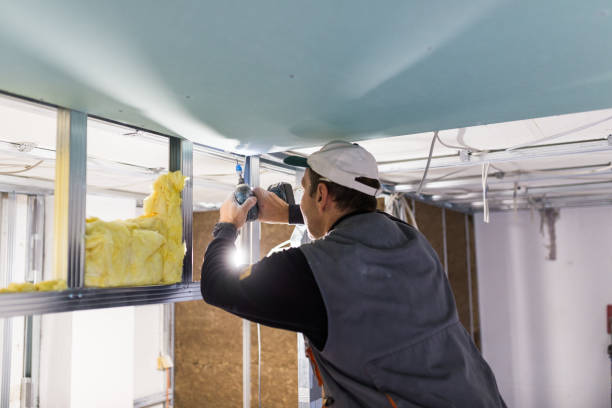 Best DIY Insulation Kits and Guidance in Cohoe, AK