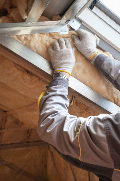 Best Blown-in Insulation in Cohoe, AK