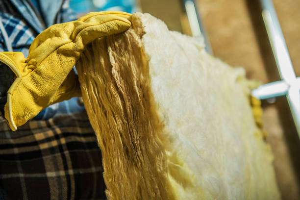Best Cellulose Insulation in Cohoe, AK