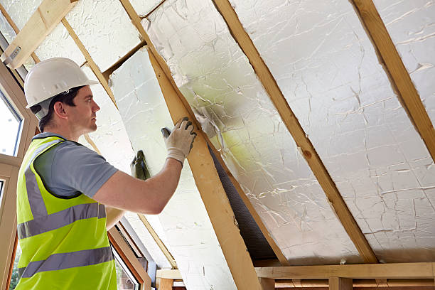 Best Spray Foam Insulation in Cohoe, AK