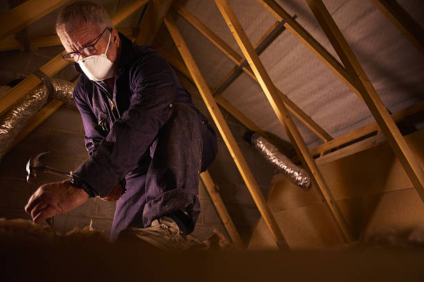  Cohoe, AK Insulation Contractor Pros